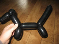 balloon dogs